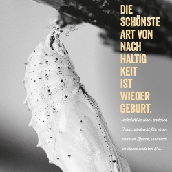 Stallerwachen Walserstuba